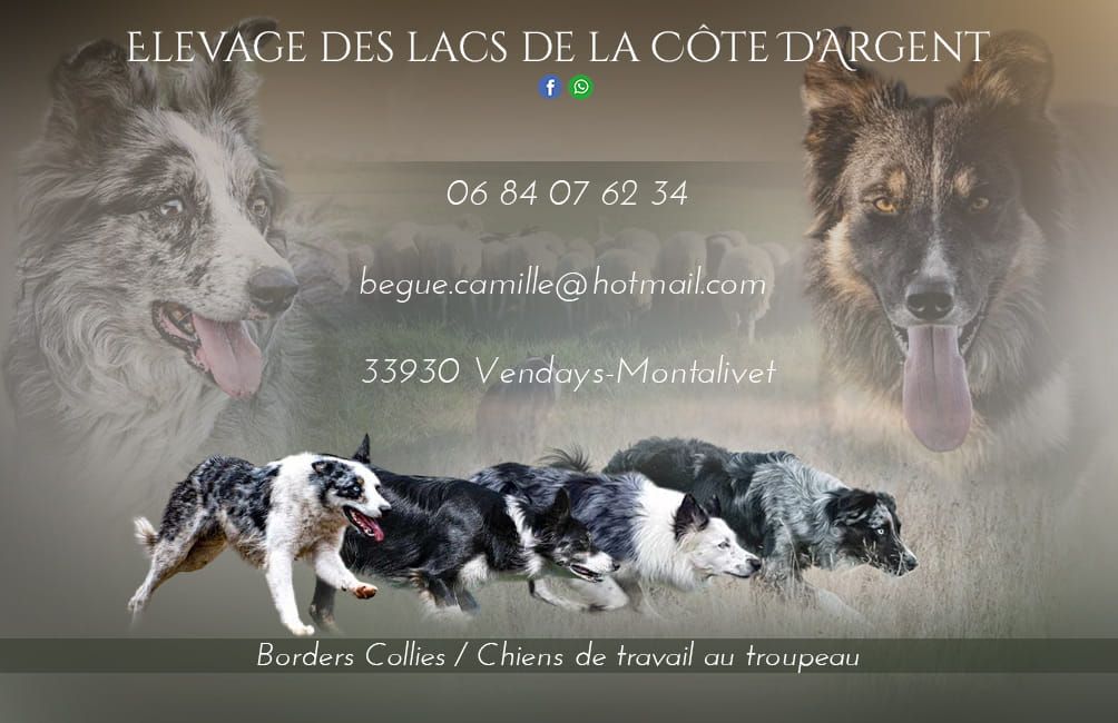 des Lacs de la Cote d'Argent - RDV sur la page Facebook !