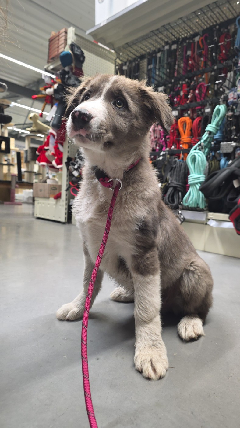 Anakin Skywalker des Lacs de la Cote d'Argent