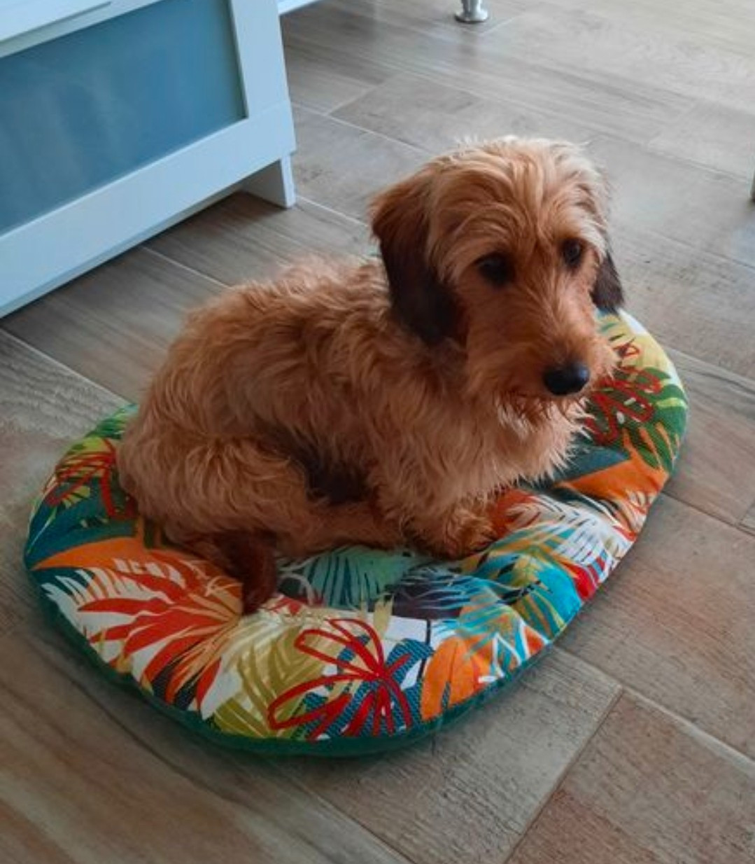 U-Two des Lacs de la Côte d'Argent des Lacs de la Cote d'Argent