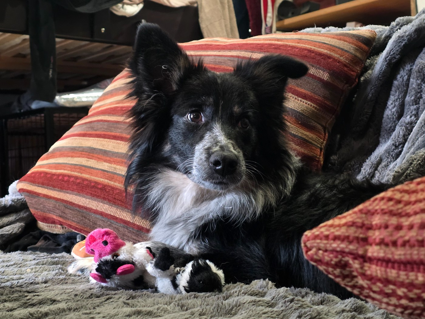 Amy Du Domaine Du Bois Rosier