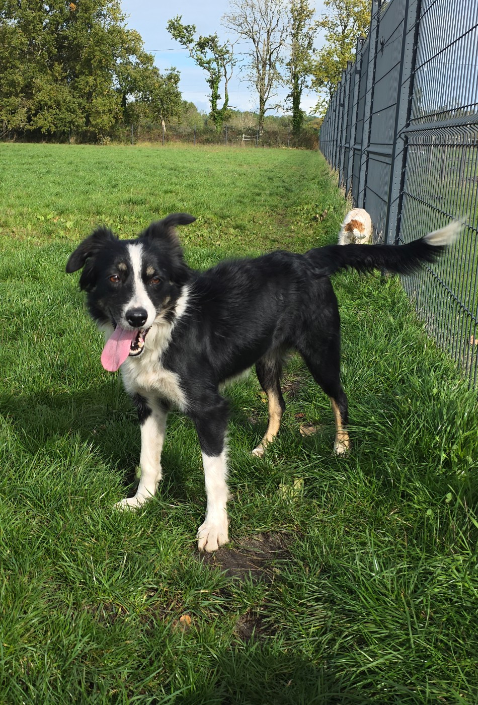 Rubis Du Domaine Du Bois Rosier