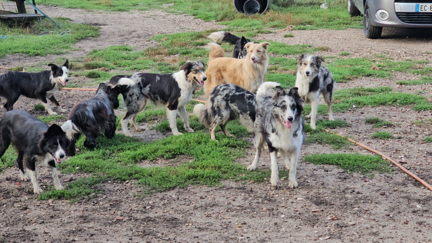 des Lacs de la Cote d'Argent