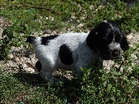 JULIANE